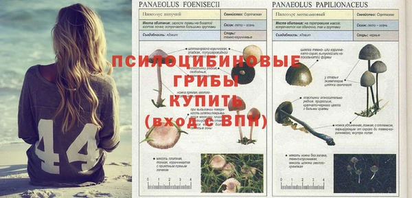 твердый Балабаново