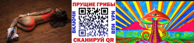 Галлюциногенные грибы MAGIC MUSHROOMS  купить закладку  Нижнеудинск 